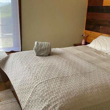 Cabanas Las Terrazas De Iculpe Población Población Lago Ranco المظهر الخارجي الصورة